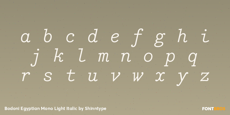 Bodoni Egyptian Mono Light Italic Font Poster #1
