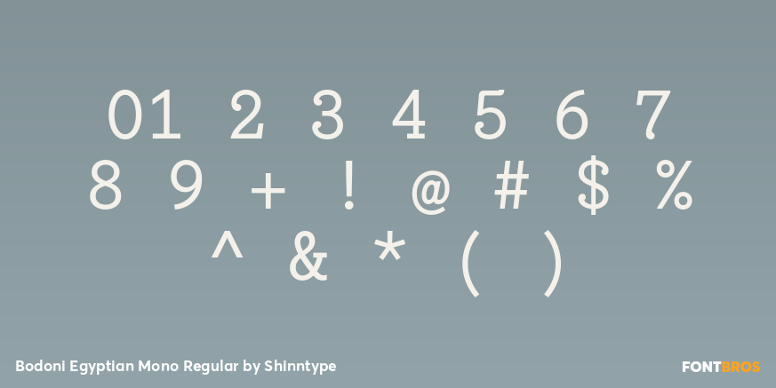 Bodoni Egyptian Mono Regular Font Poster #4