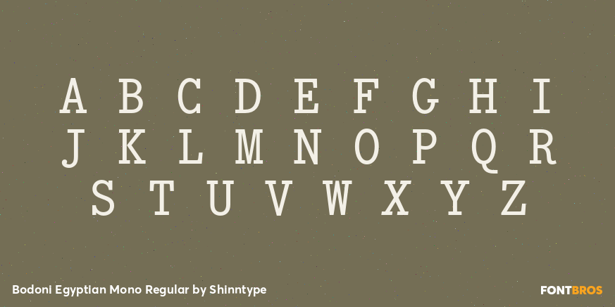 Bodoni Egyptian Mono Regular Font Poster #2