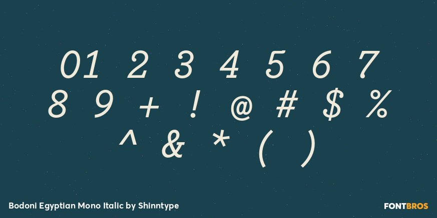 Bodoni Egyptian Mono Italic Font Poster #4