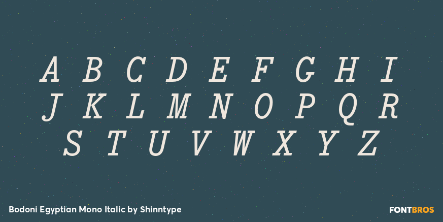 Bodoni Egyptian Mono Italic Font Poster #2