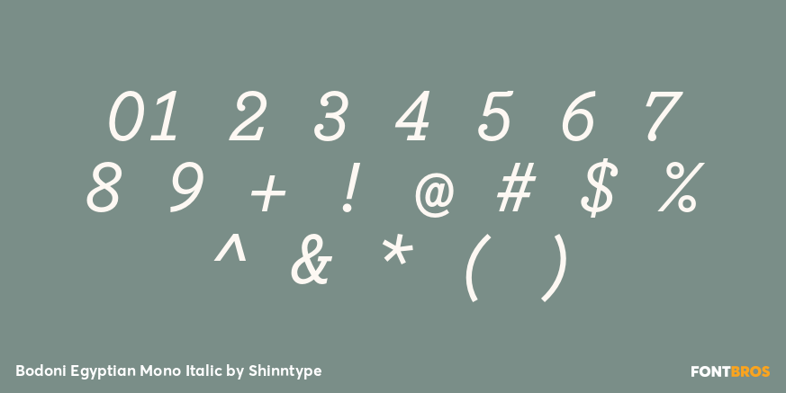 Bodoni Egyptian Mono Italic Font Poster #4