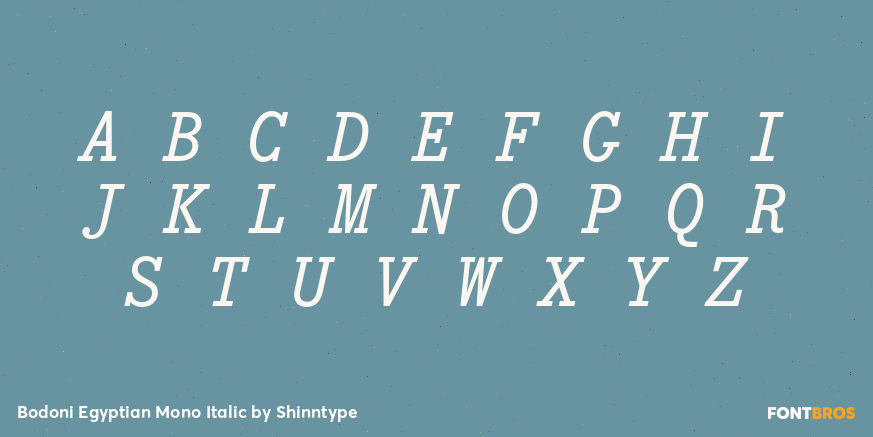 Bodoni Egyptian Mono Italic Font Poster #2