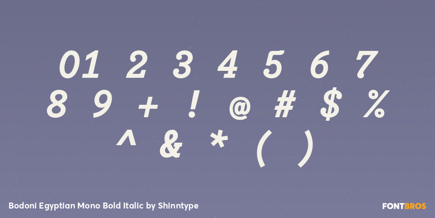 Bodoni Egyptian Mono Bold Italic Font Poster #4