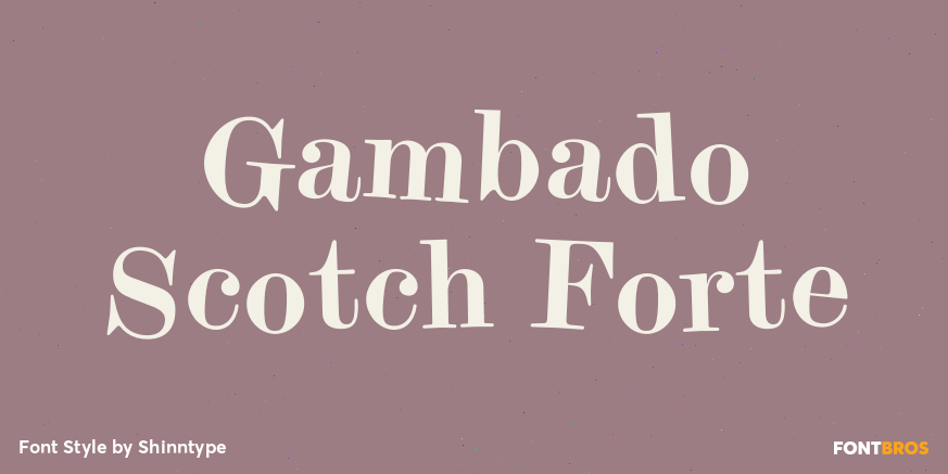 Gambado Scotch Forte Poster