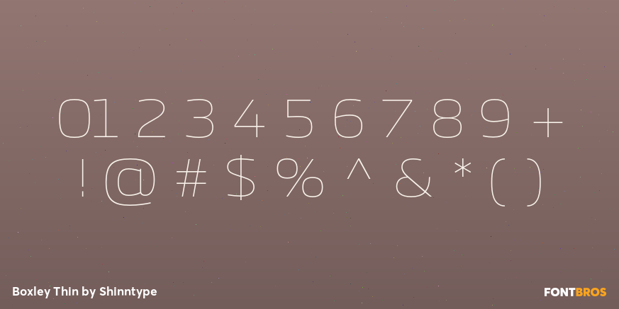Boxley Thin Font Poster #4