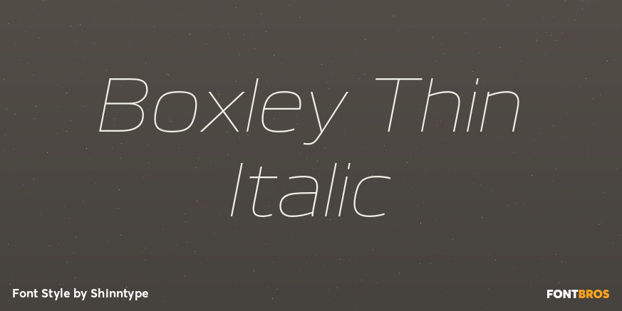 Boxley Thin Italic Font Poster #1