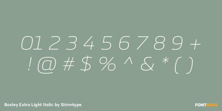 Boxley Extra Light Italic Font Poster #4