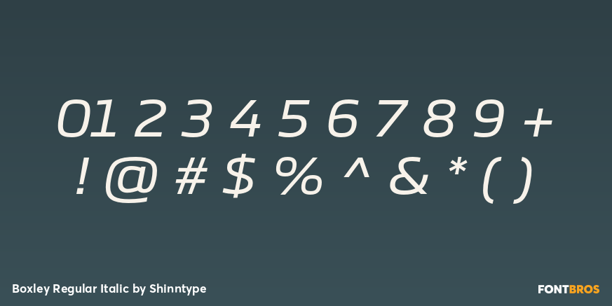 Boxley Regular Italic Font Poster #4