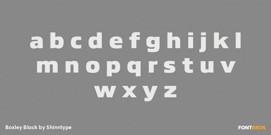 Boxley Black Font Poster #3