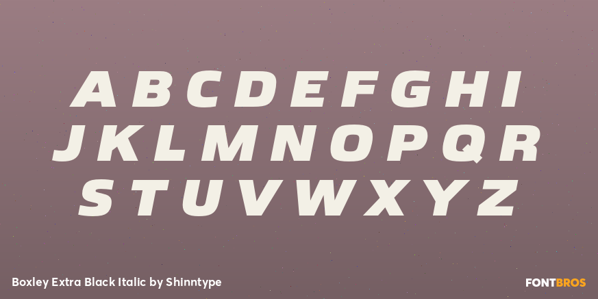 Boxley Extra Black Italic Font Poster #2