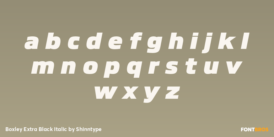 Boxley Extra Black Italic Font Poster #3