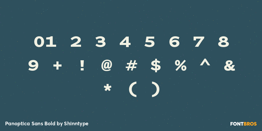 Panoptica Sans Bold Font Poster #4