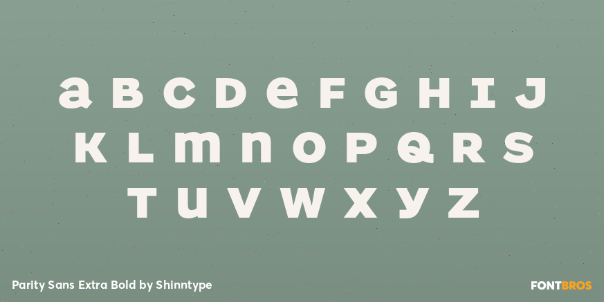 Parity Sans Extra Bold Font Poster #3