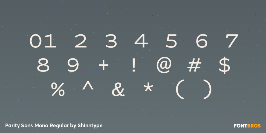 Parity Sans Mono Regular Font Poster #4