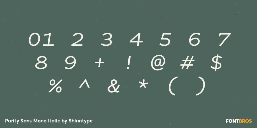 Parity Sans Mono Italic Font Poster #4