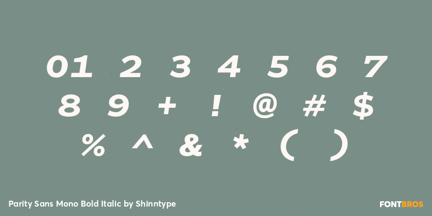 Parity Sans Mono Bold Italic Font Poster #1