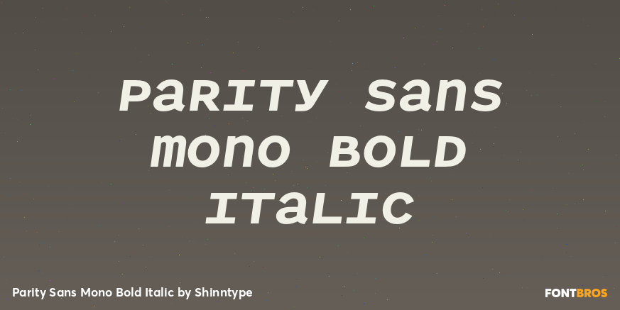 Parity Sans Mono Bold Italic Font Poster #1