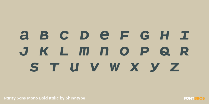 Parity Sans Mono Bold Italic Font Poster #2