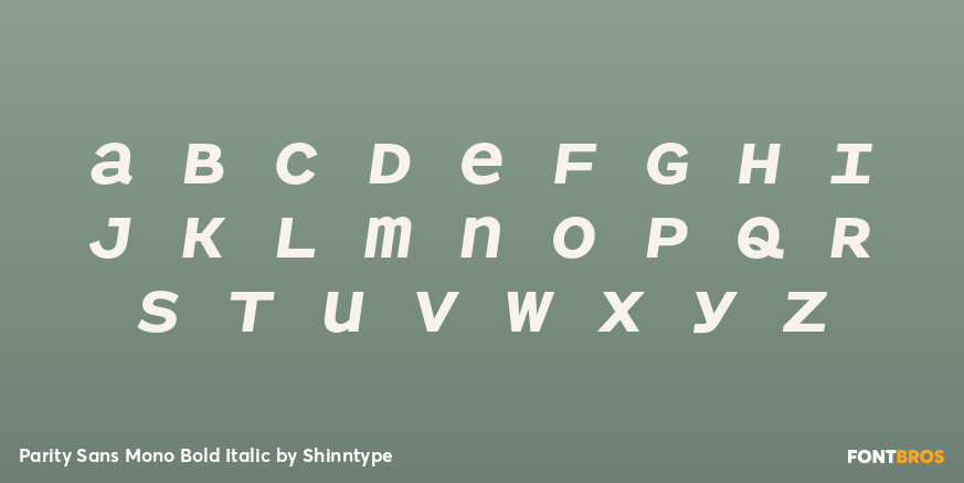 Parity Sans Mono Bold Italic Font Poster #3