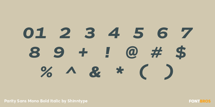 Parity Sans Mono Bold Italic Font Poster #4