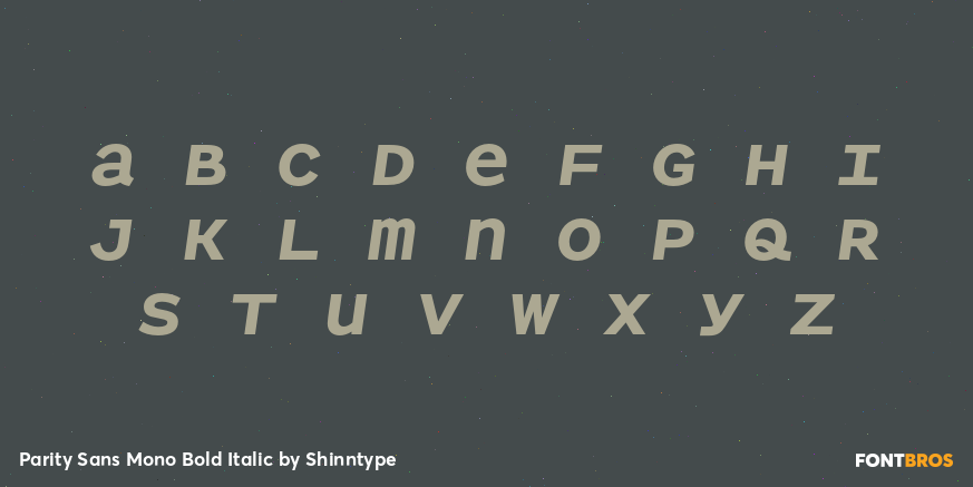 Parity Sans Mono Bold Italic Font Poster #1