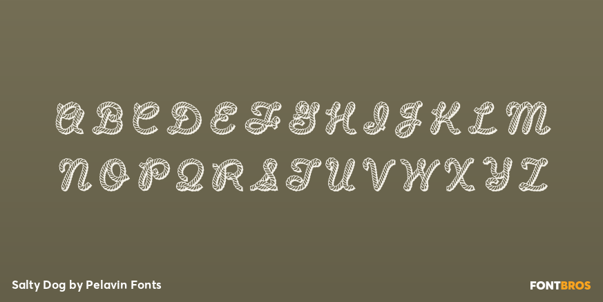 Salty Dog Font Poster #2