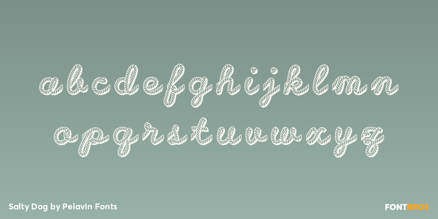 Salty Dog Font Poster #3