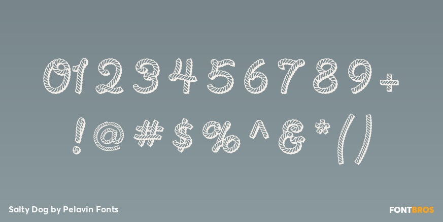 Salty Dog Font Poster #4