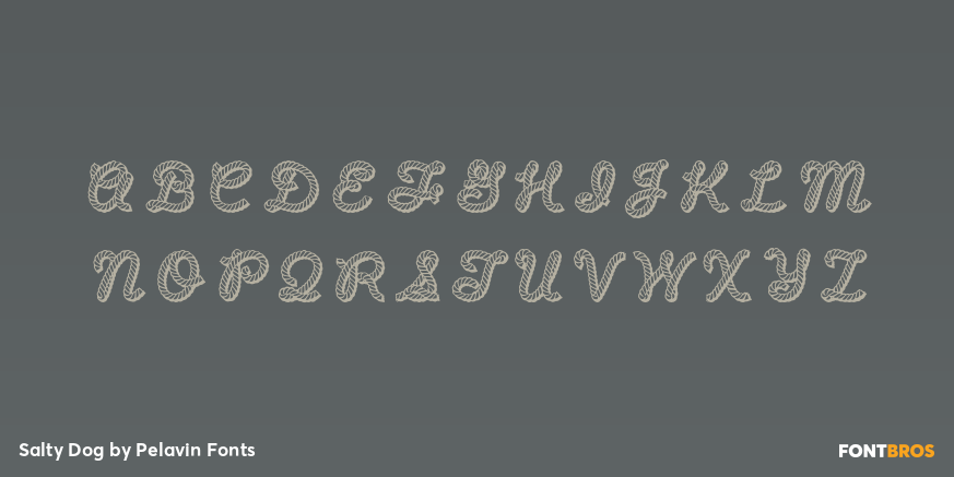 Salty Dog Font Poster #1
