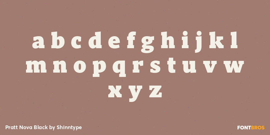 Pratt Nova Black Font Poster #3
