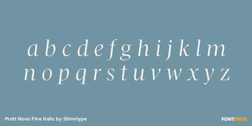 Pratt Nova Fine Italic Font Poster #1