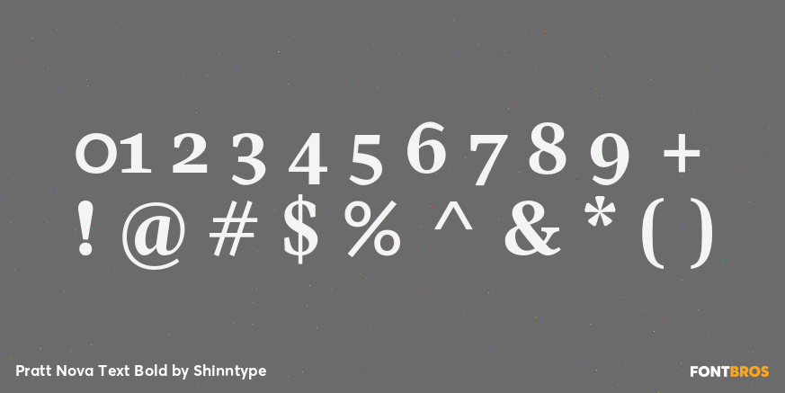 Pratt Nova Text Bold Font Poster #4