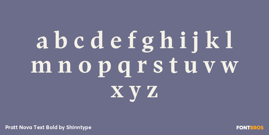 Pratt Nova Text Bold Font Poster #3