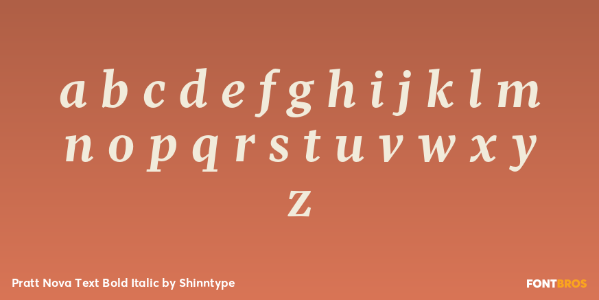 Pratt Nova Text Bold Italic Font Poster #3