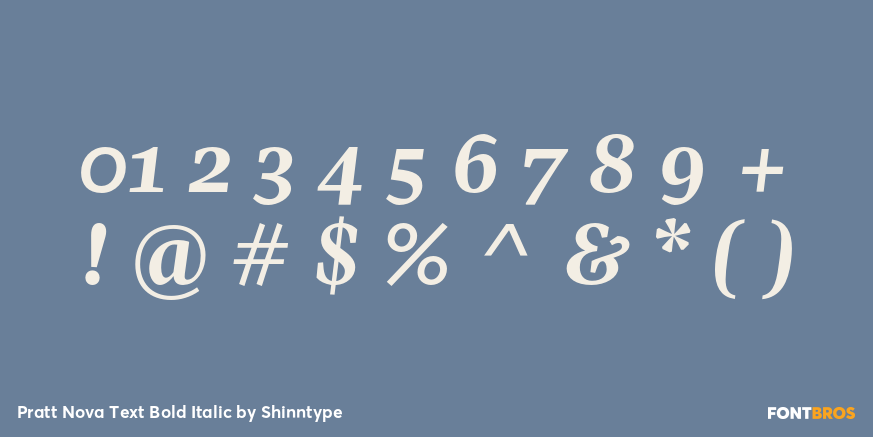 Pratt Nova Text Bold Italic Font Poster #4