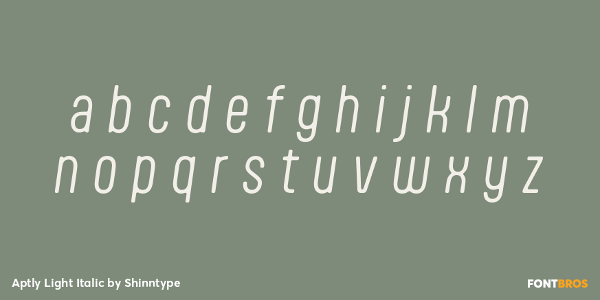 Aptly Light Italic Font Poster #3