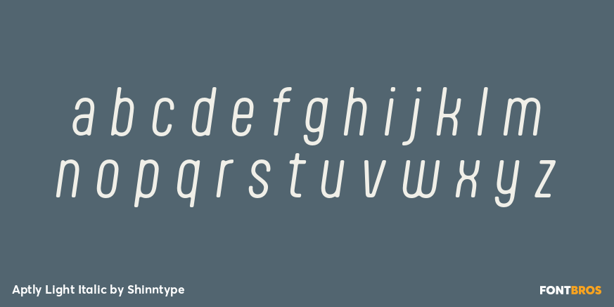 Aptly Light Italic Font Poster #1