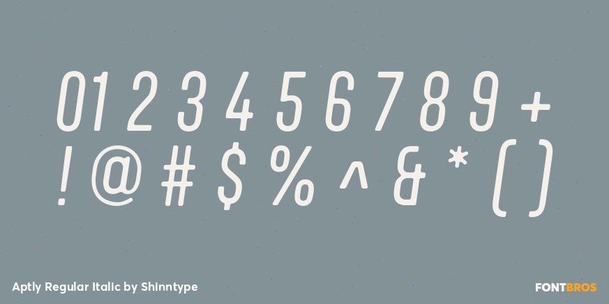 Aptly Regular Italic Font Poster #1