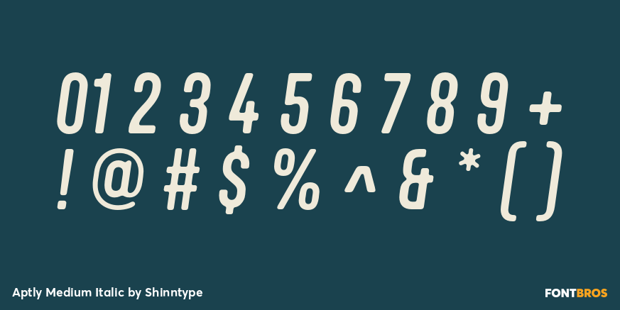 Aptly Medium Italic Font Poster #4