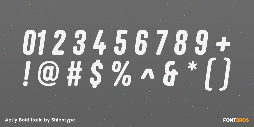Aptly Bold Italic Font Poster #4