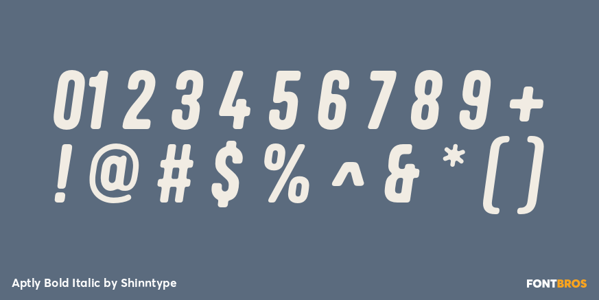 Aptly Bold Italic Font Poster #4