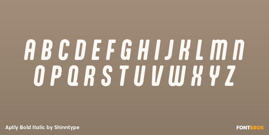 Aptly Bold Italic Font Poster #2