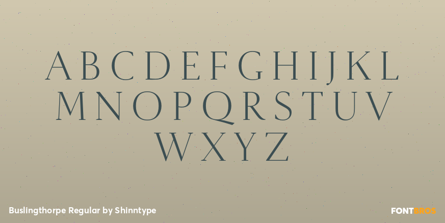 Buslingthorpe Regular Font Poster #2