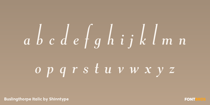 Buslingthorpe Italic Font Poster #3
