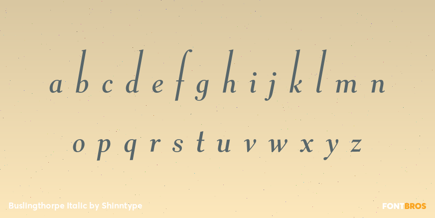 Buslingthorpe Italic Font Poster #3