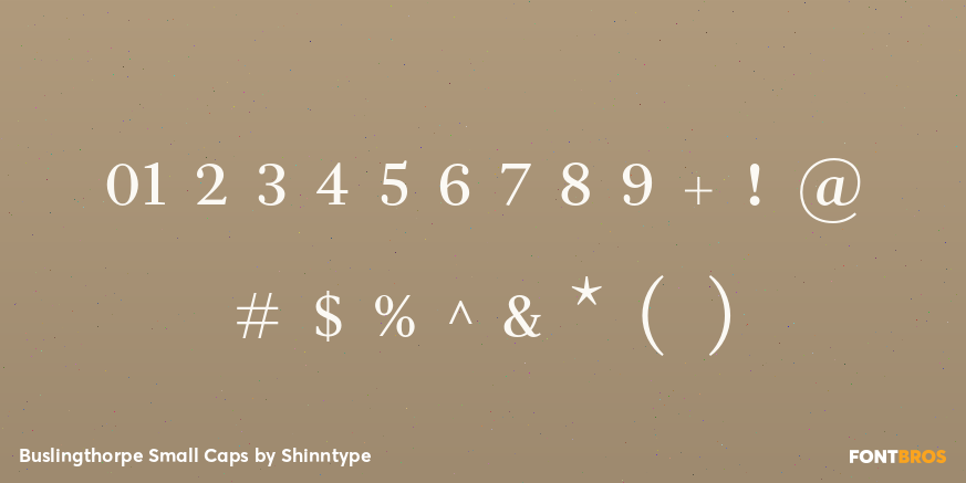 Buslingthorpe Small Caps Font Poster #4