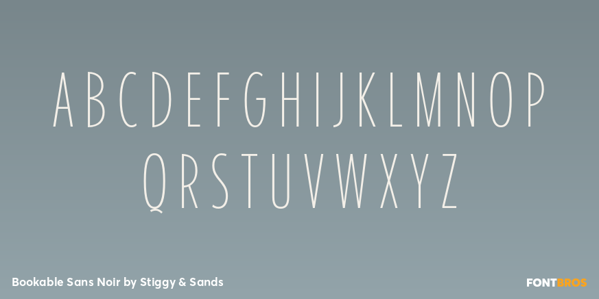 Bookable Sans Noir Font Poster #2