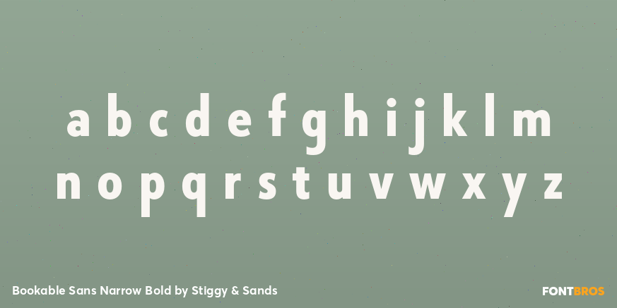 Bookable Sans Narrow Bold Font Poster #3
