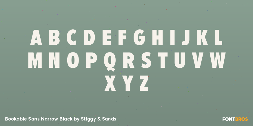 Bookable Sans Narrow Black Font Poster #1